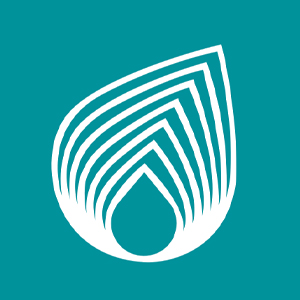 NETAŞ Logo